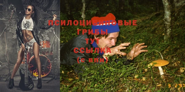 первитин Кинешма