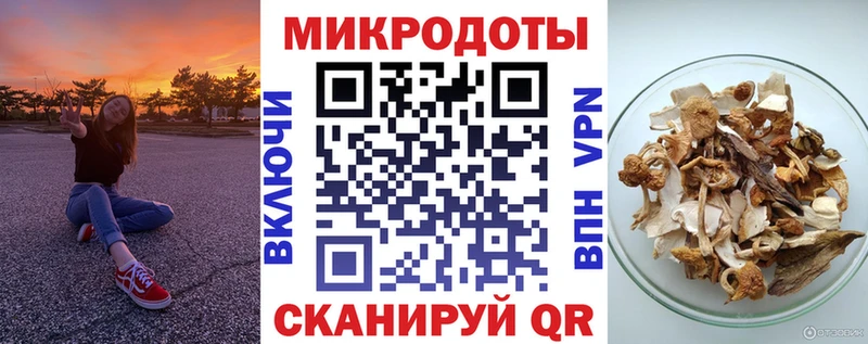 Купить  Динская  Галлюциногенные грибы Cubensis 